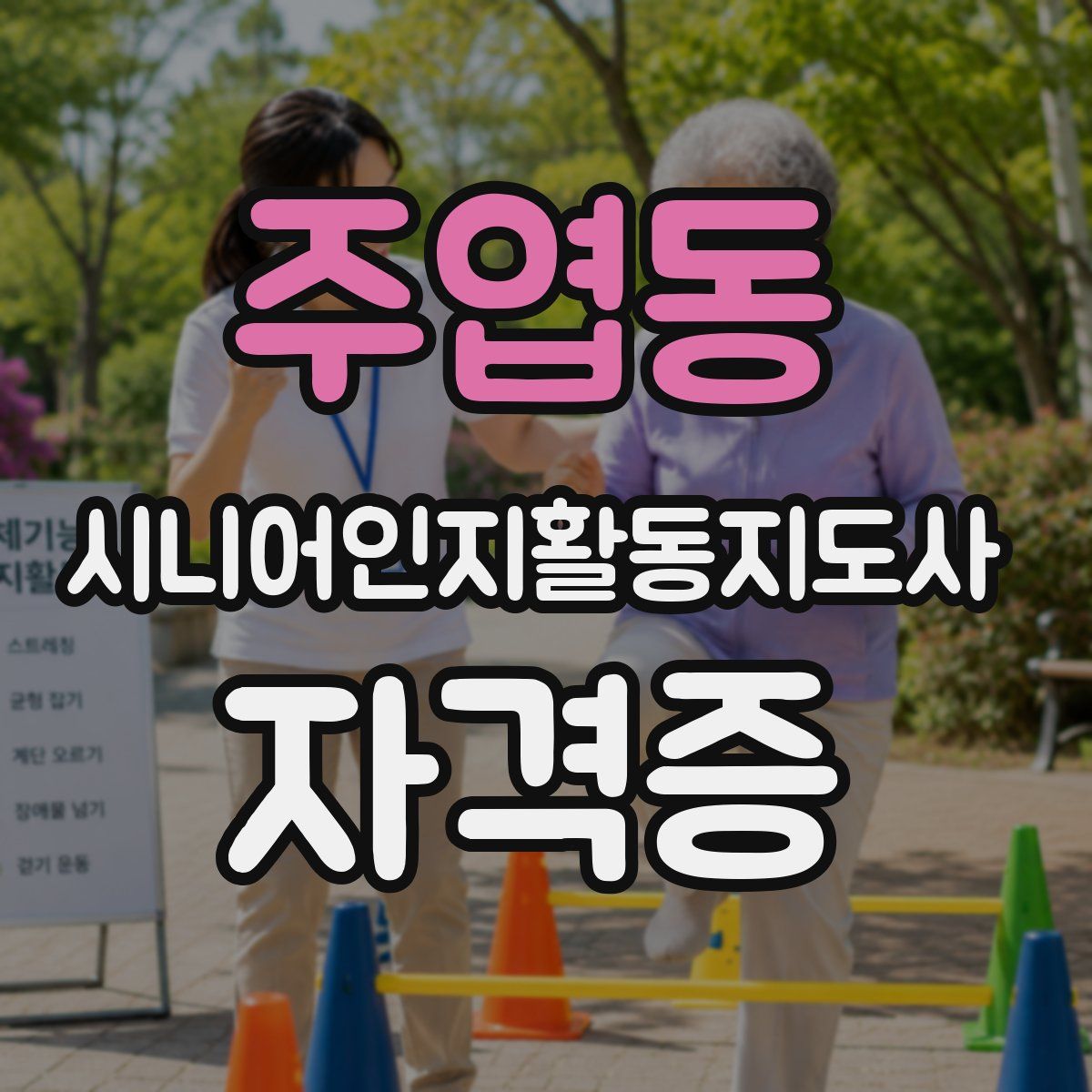 주엽동 시니어인지활동지도사 자격증