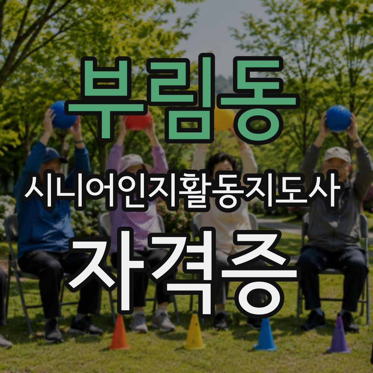 부림동 시니어인지활동지도사 자격증