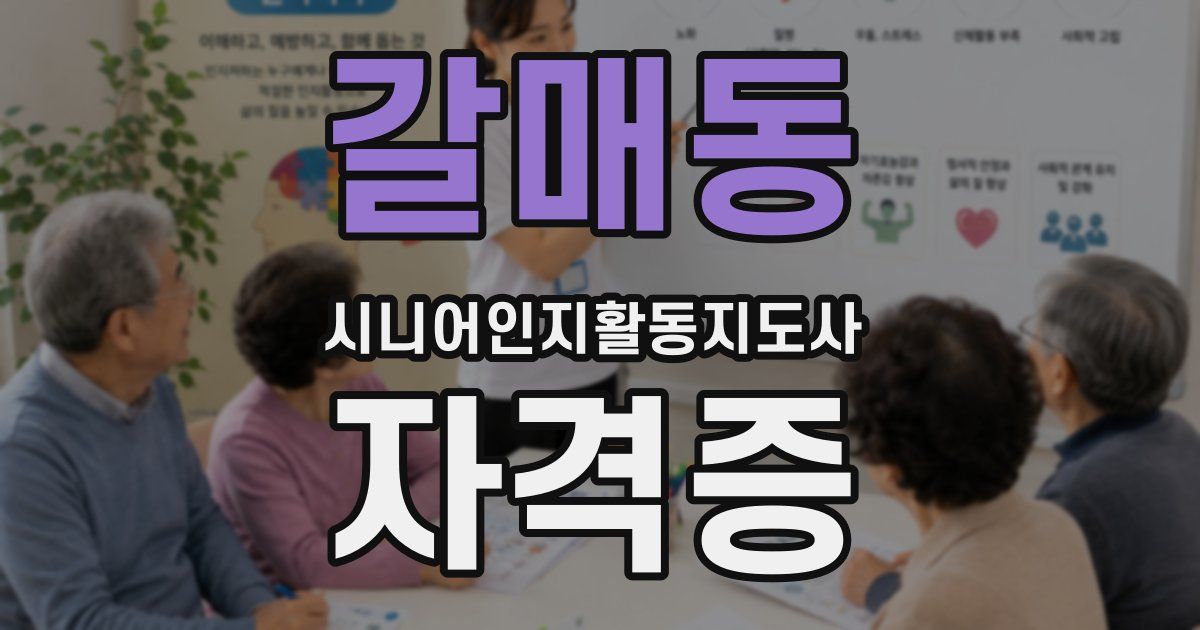 갈매동 시니어인지활동지도사 자격증
