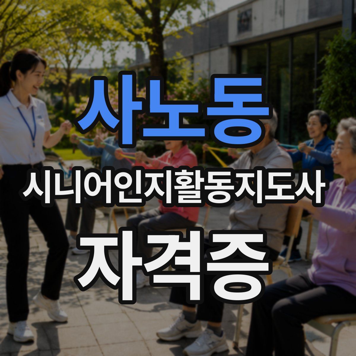 사노동 시니어인지활동지도사 자격증