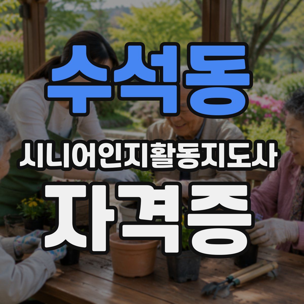 수석동 시니어인지활동지도사 자격증