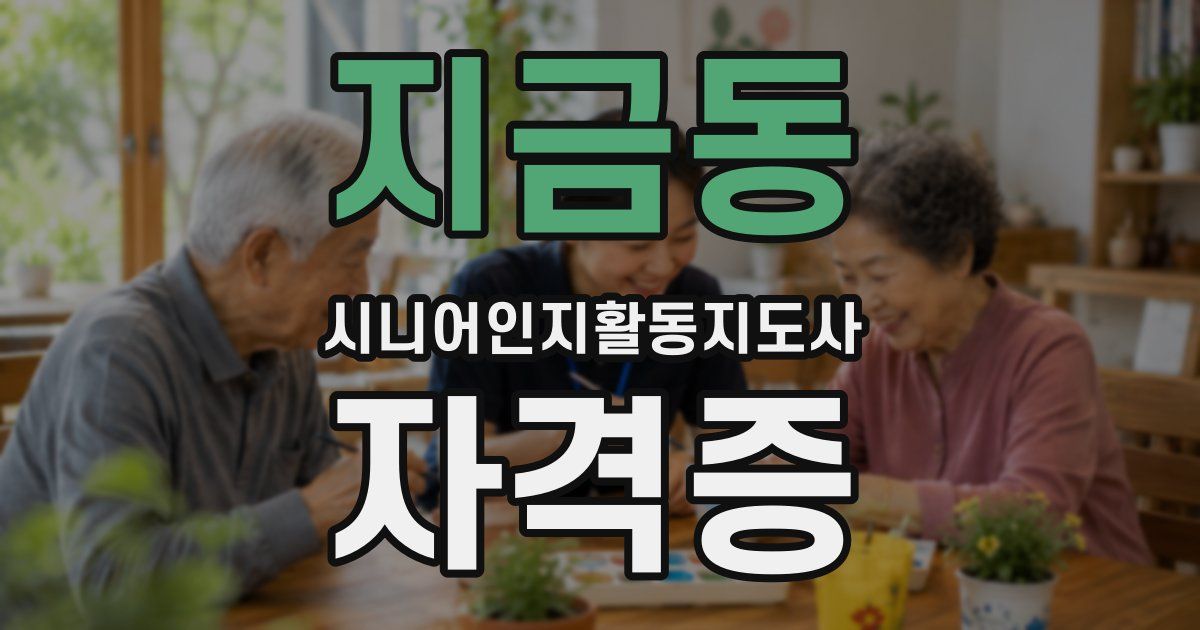 지금동 시니어인지활동지도사 자격증