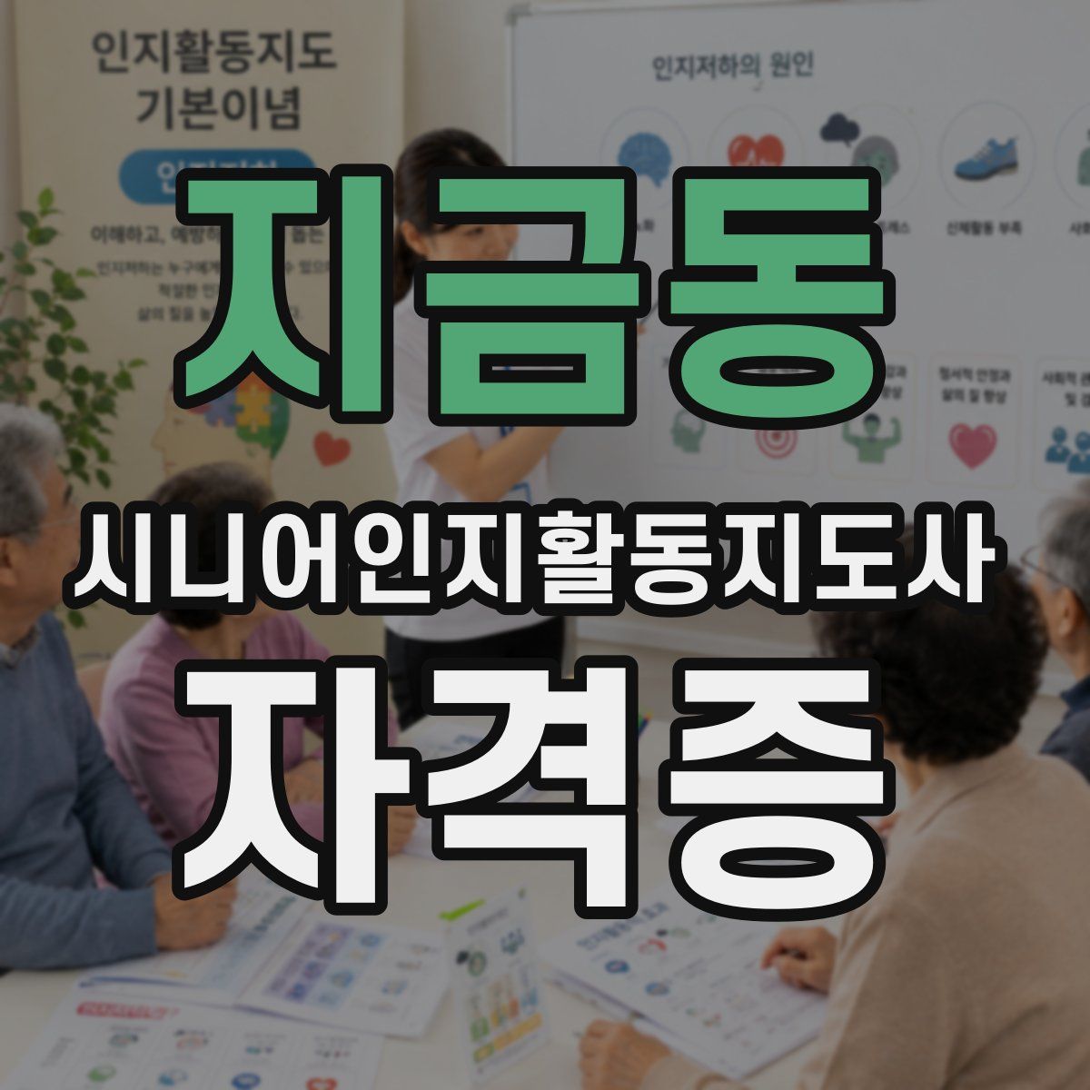 지금동 시니어인지활동지도사 자격증