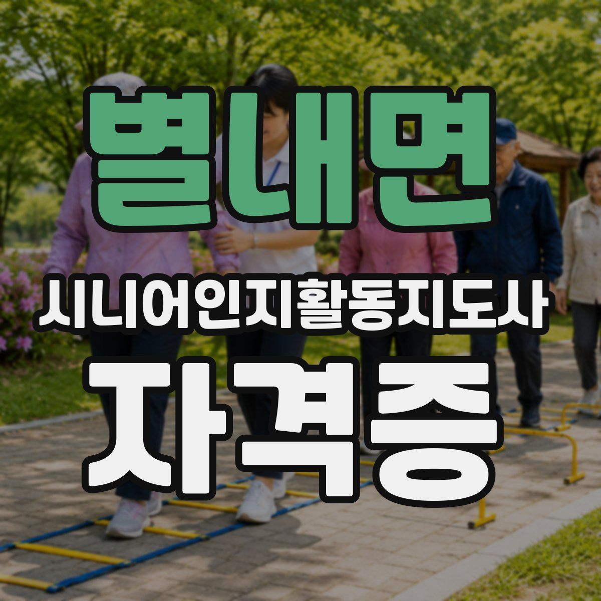 별내면 시니어인지활동지도사 자격증