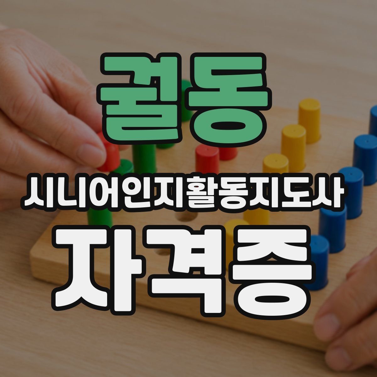 궐동 시니어인지활동지도사 자격증