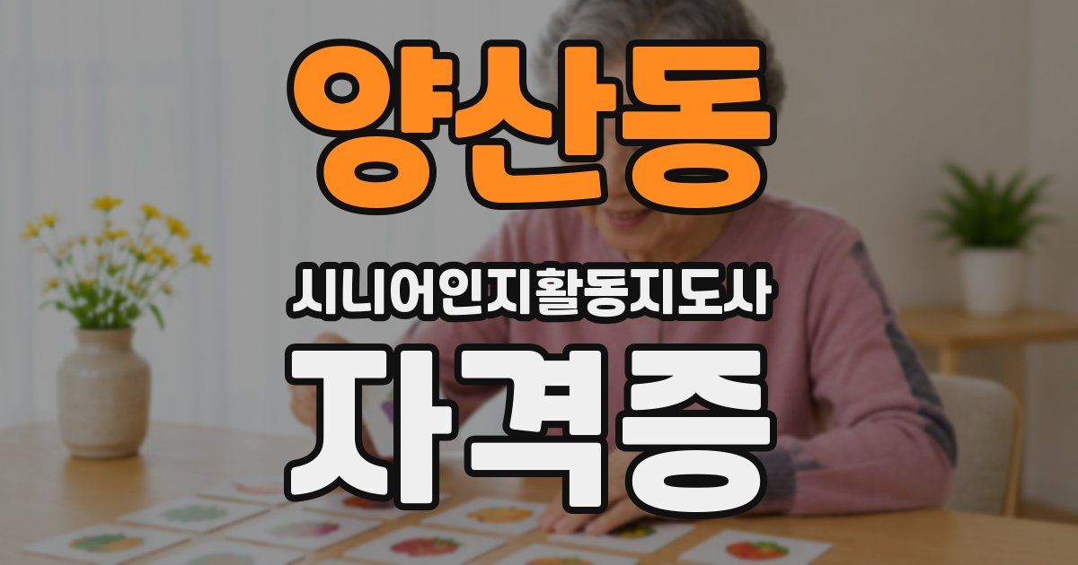 양산동 시니어인지활동지도사 자격증