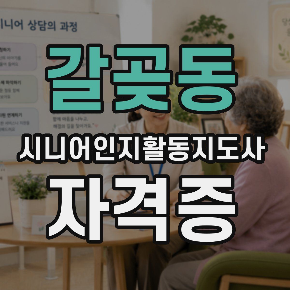 갈곶동 시니어인지활동지도사 자격증