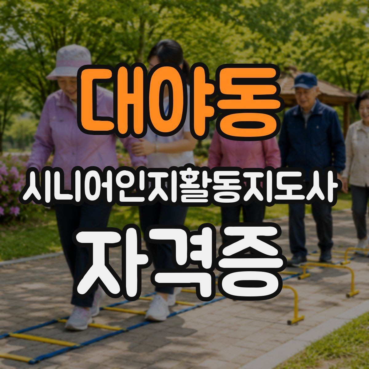 대야동 시니어인지활동지도사 자격증 활동 분야별 준비 포인트