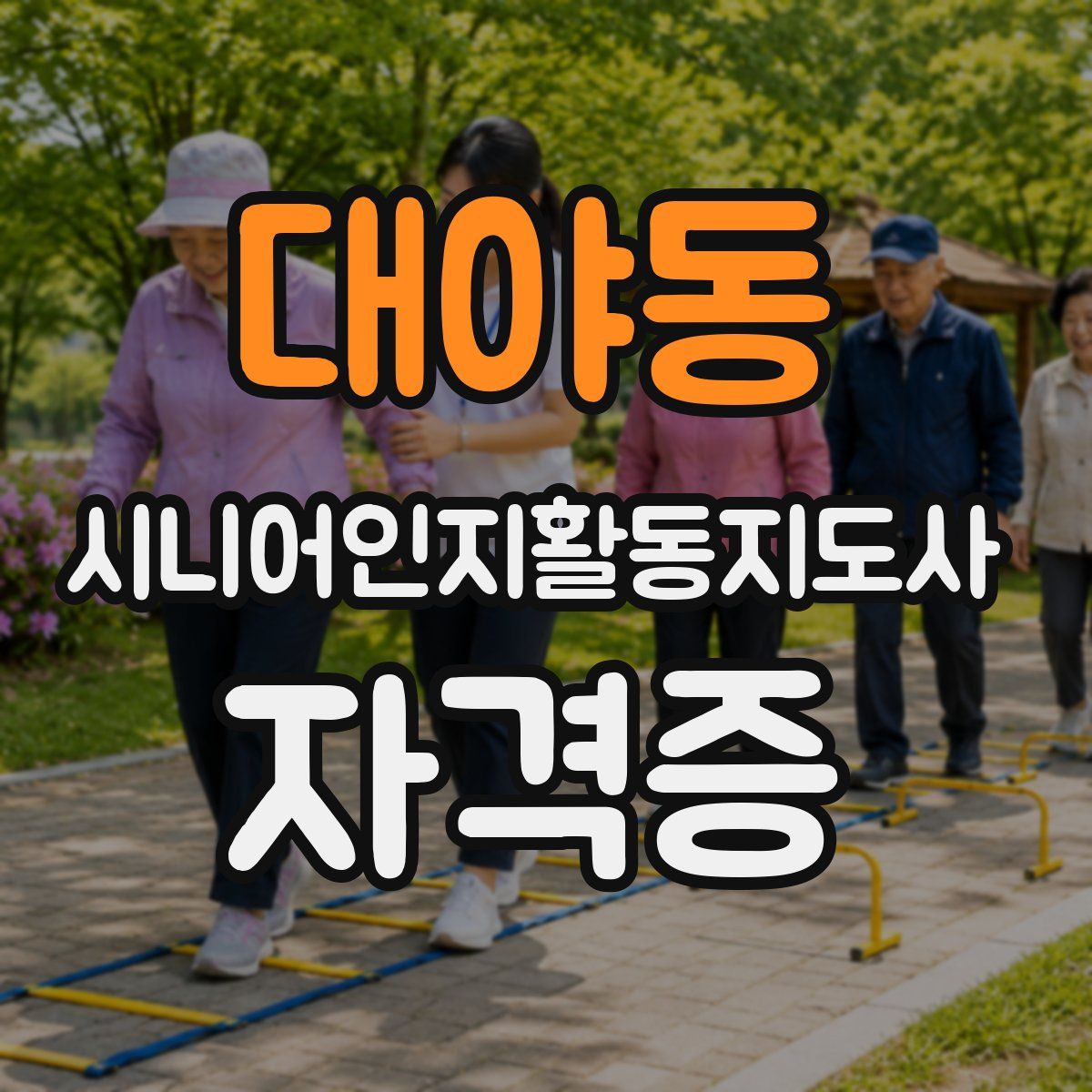 대야동 시니어인지활동지도사 자격증