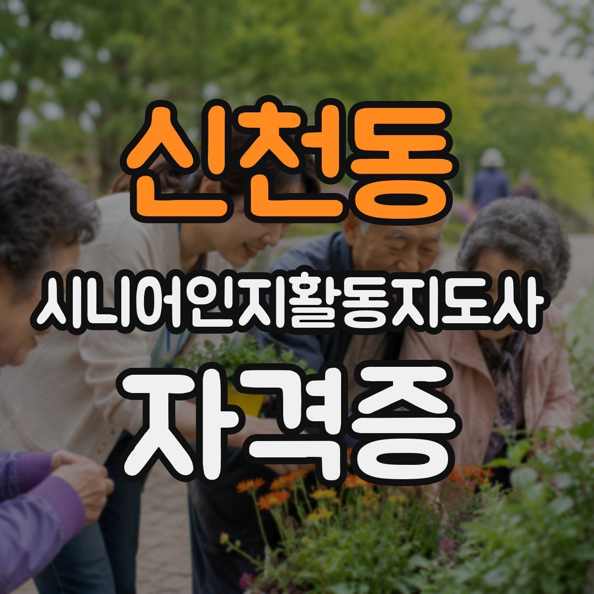 신천동 시니어인지활동지도사 자격증