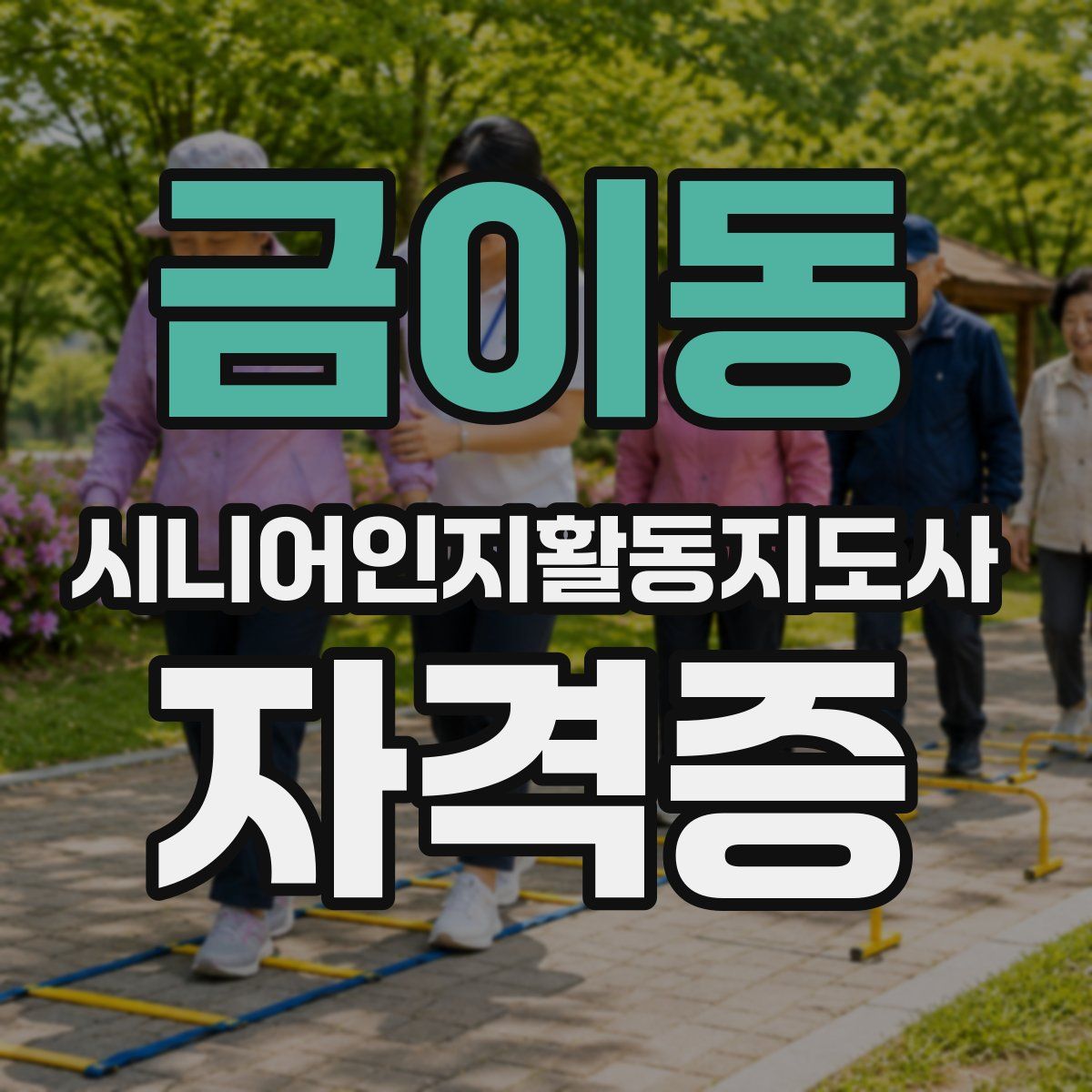 금이동 시니어인지활동지도사 자격증