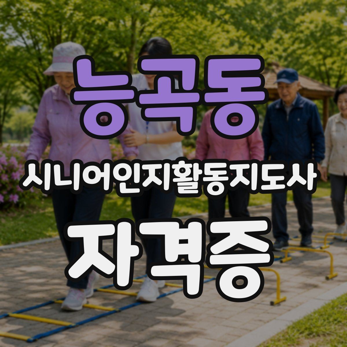 능곡동 시니어인지활동지도사 자격증 학습 효율 높이는 방법