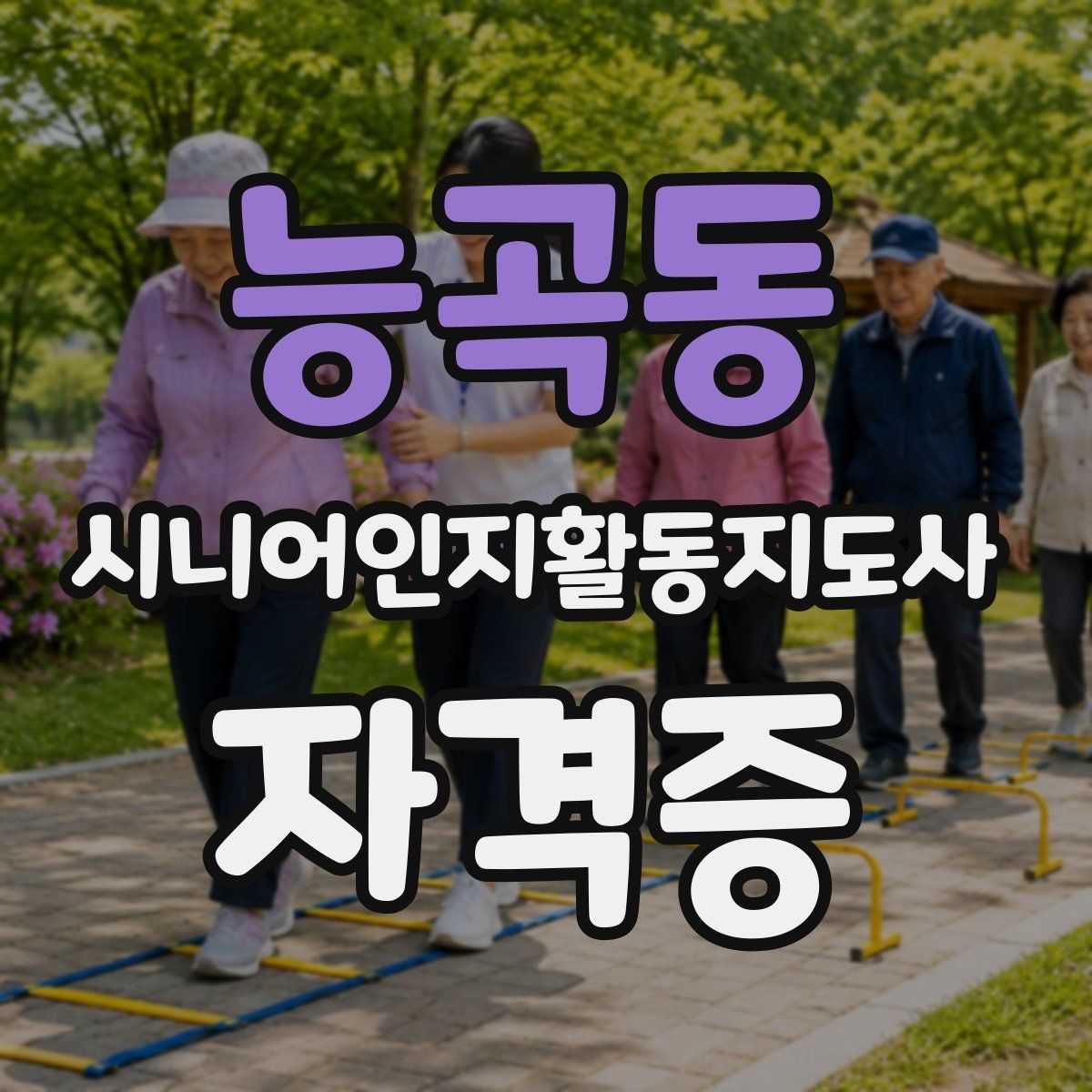 능곡동 시니어인지활동지도사 자격증