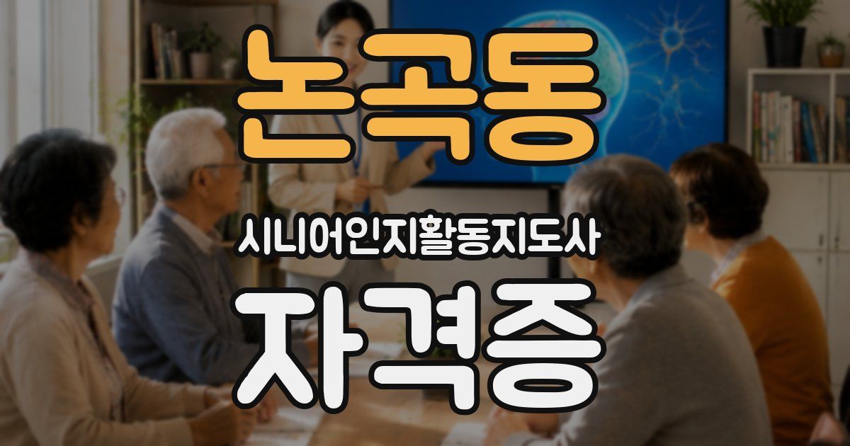 논곡동 시니어인지활동지도사 자격증