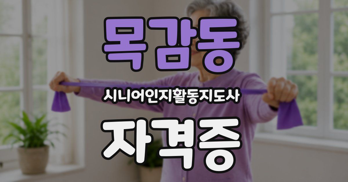 목감동 시니어인지활동지도사 자격증