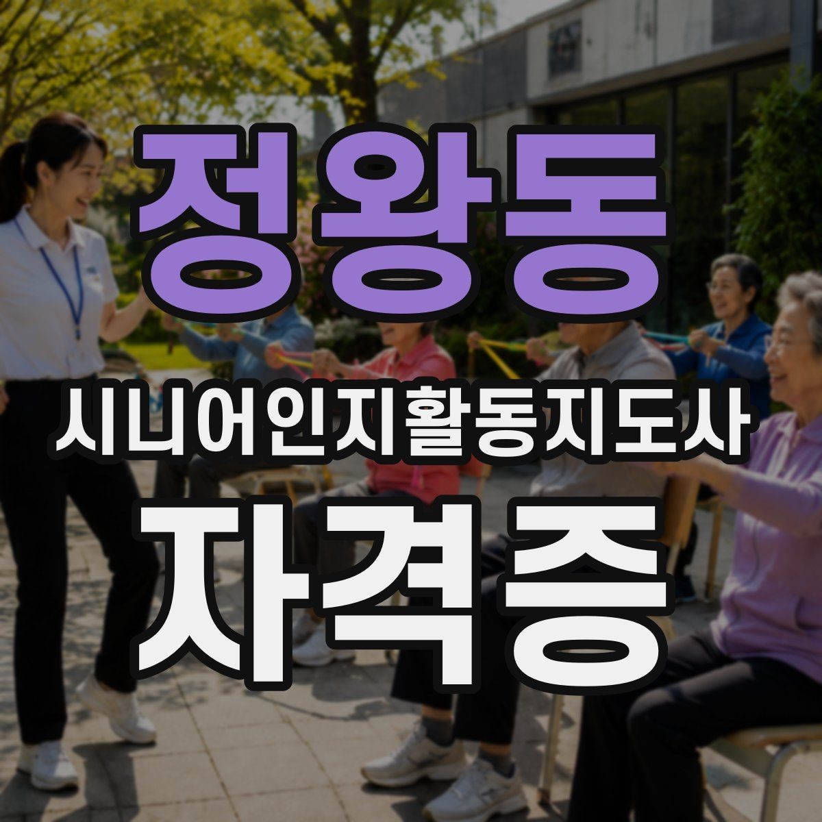 정왕동 시니어인지활동지도사 자격증 지원 전 비교해야 할 항목