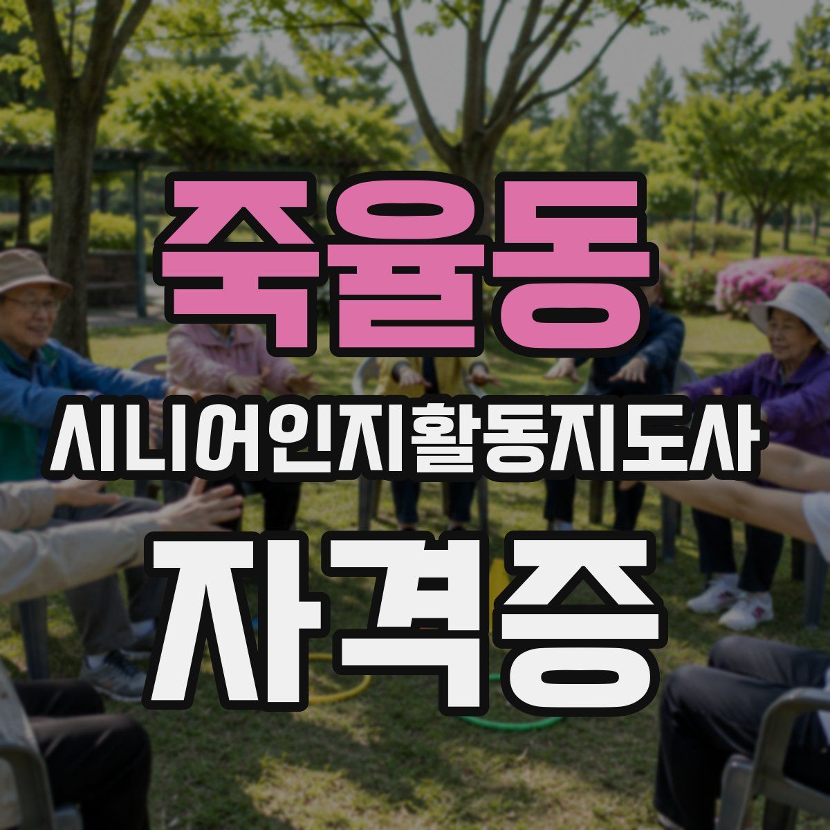 죽율동 시니어인지활동지도사 자격증