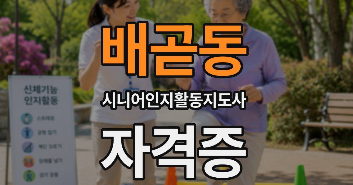 배곧동 시니어인지활동지도사 자격증