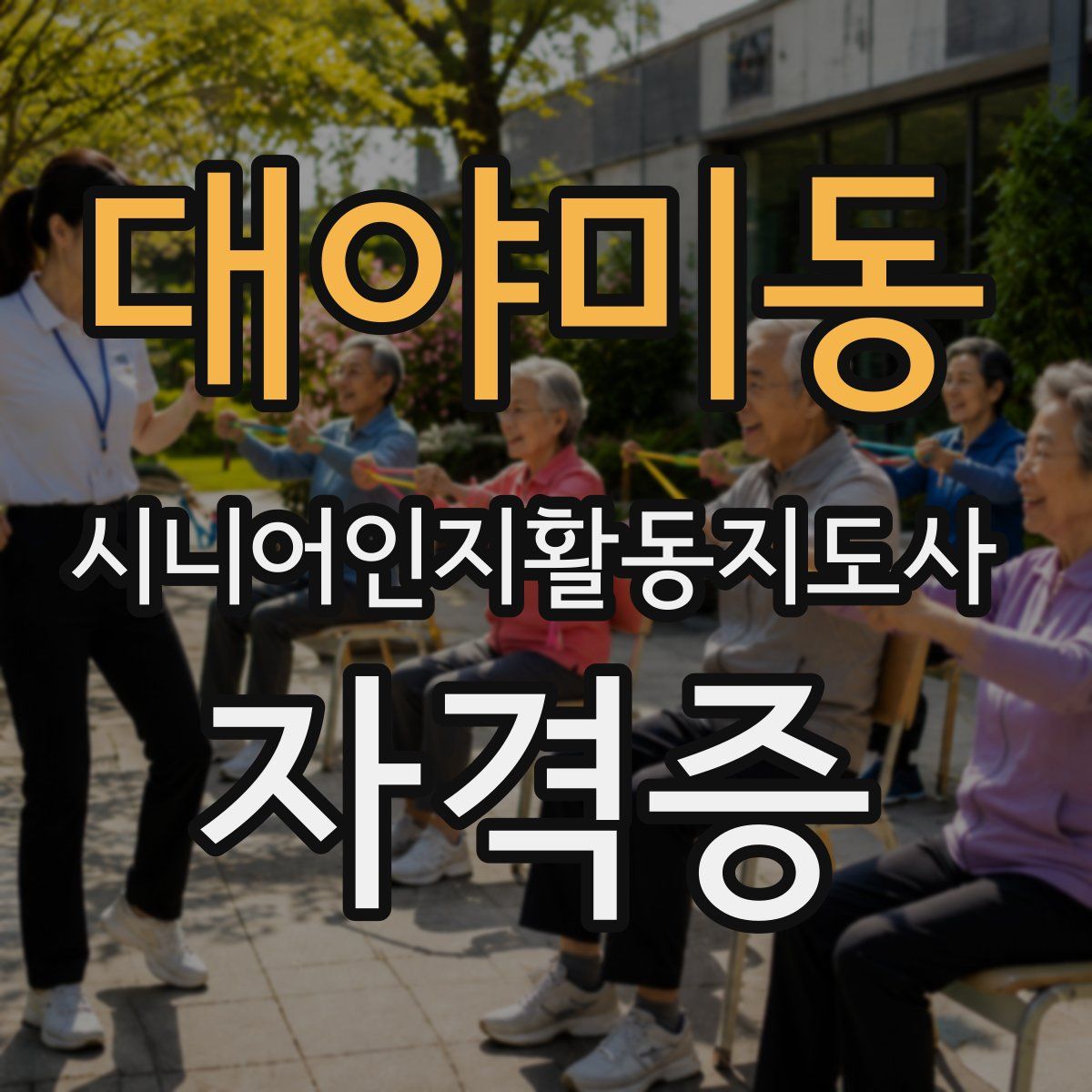 대야미동 시니어인지활동지도사 자격증
