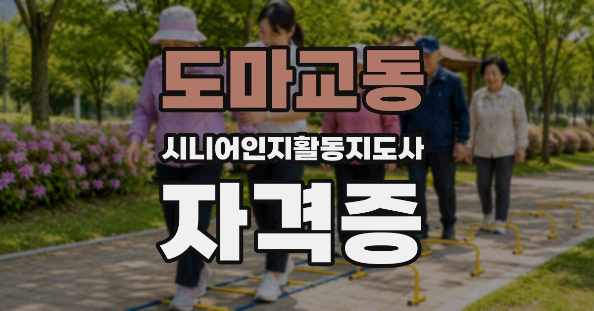도마교동 시니어인지활동지도사 자격증