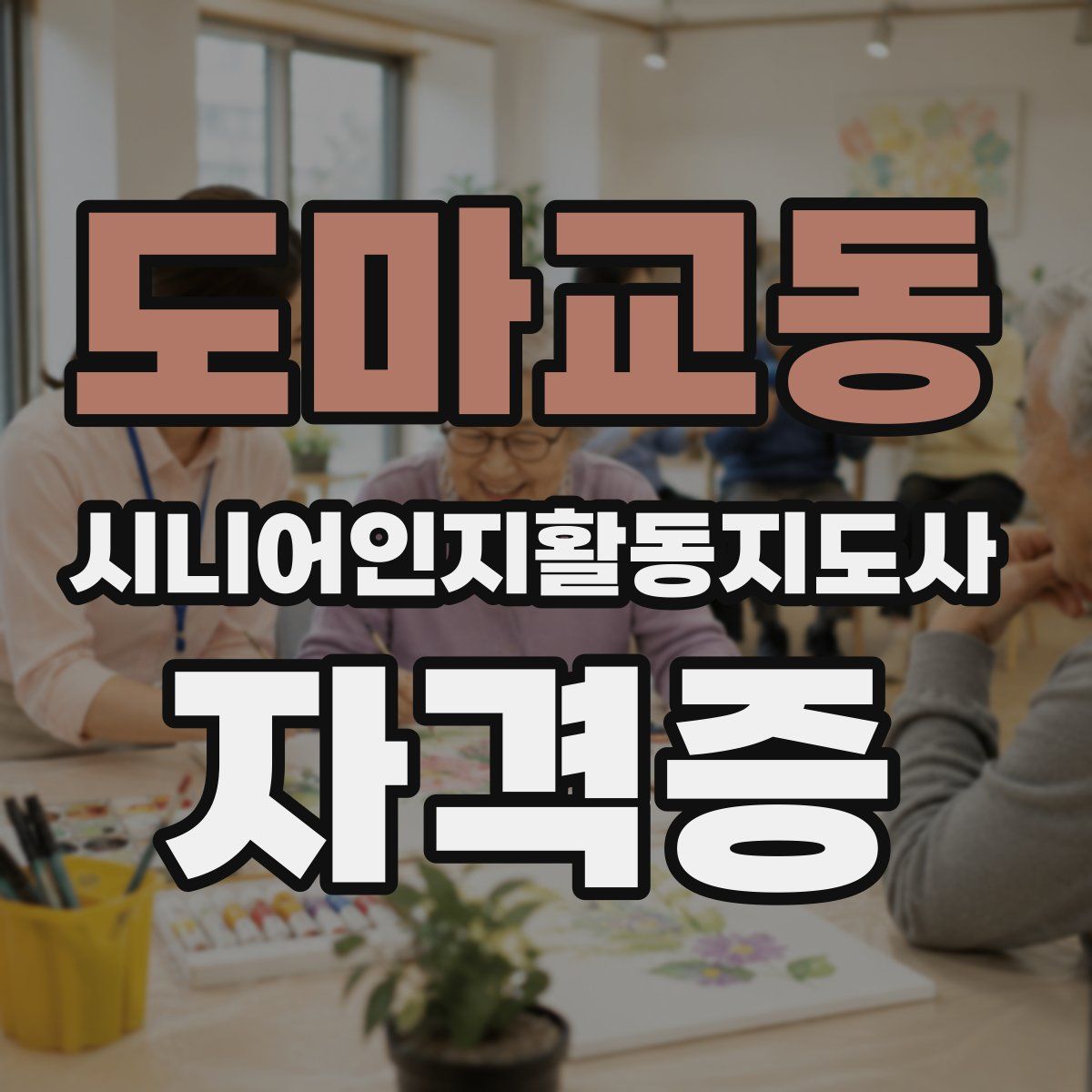 도마교동 시니어인지활동지도사 자격증