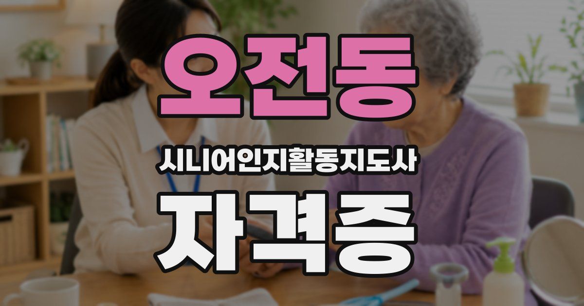 오전동 시니어인지활동지도사 자격증