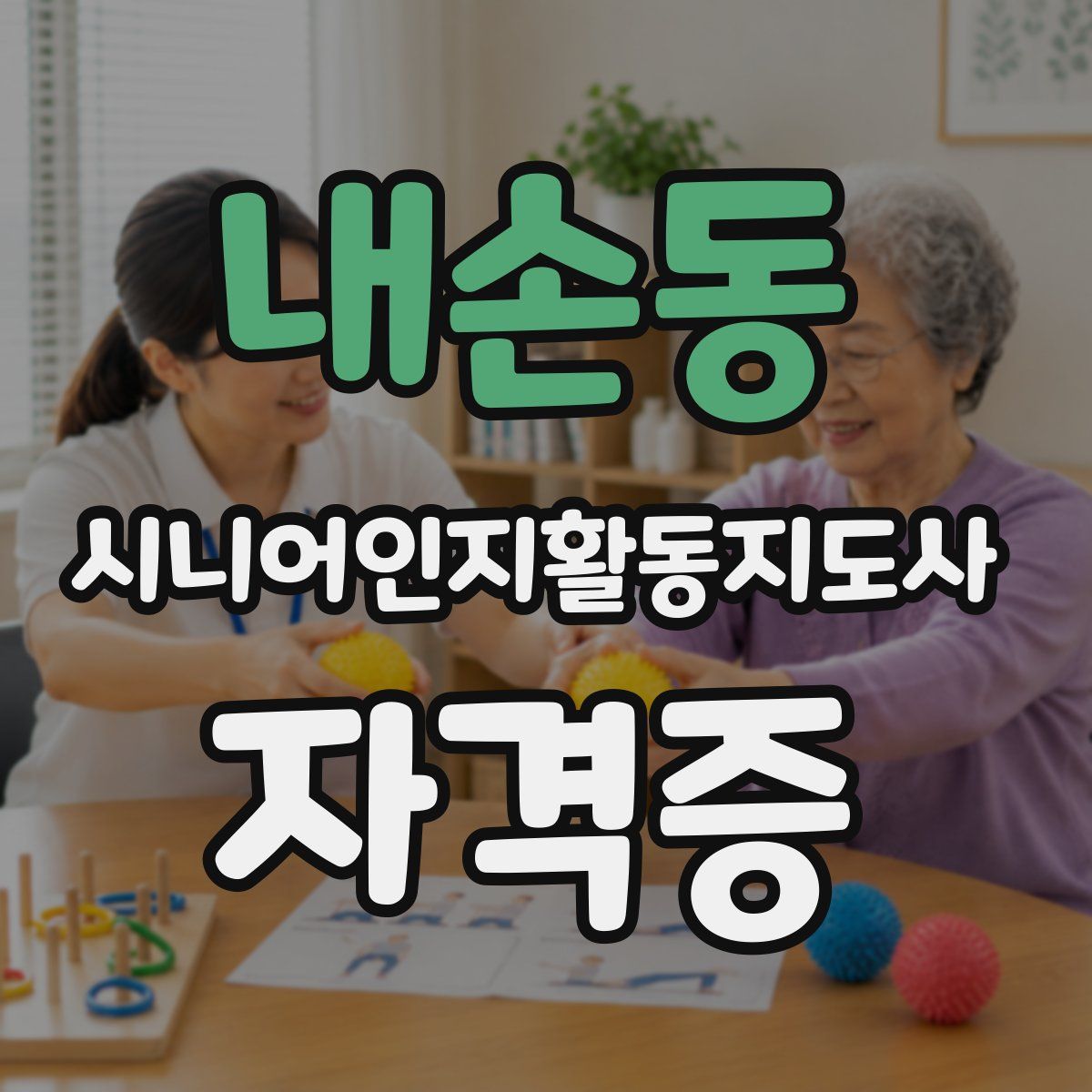 내손동 시니어인지활동지도사 자격증