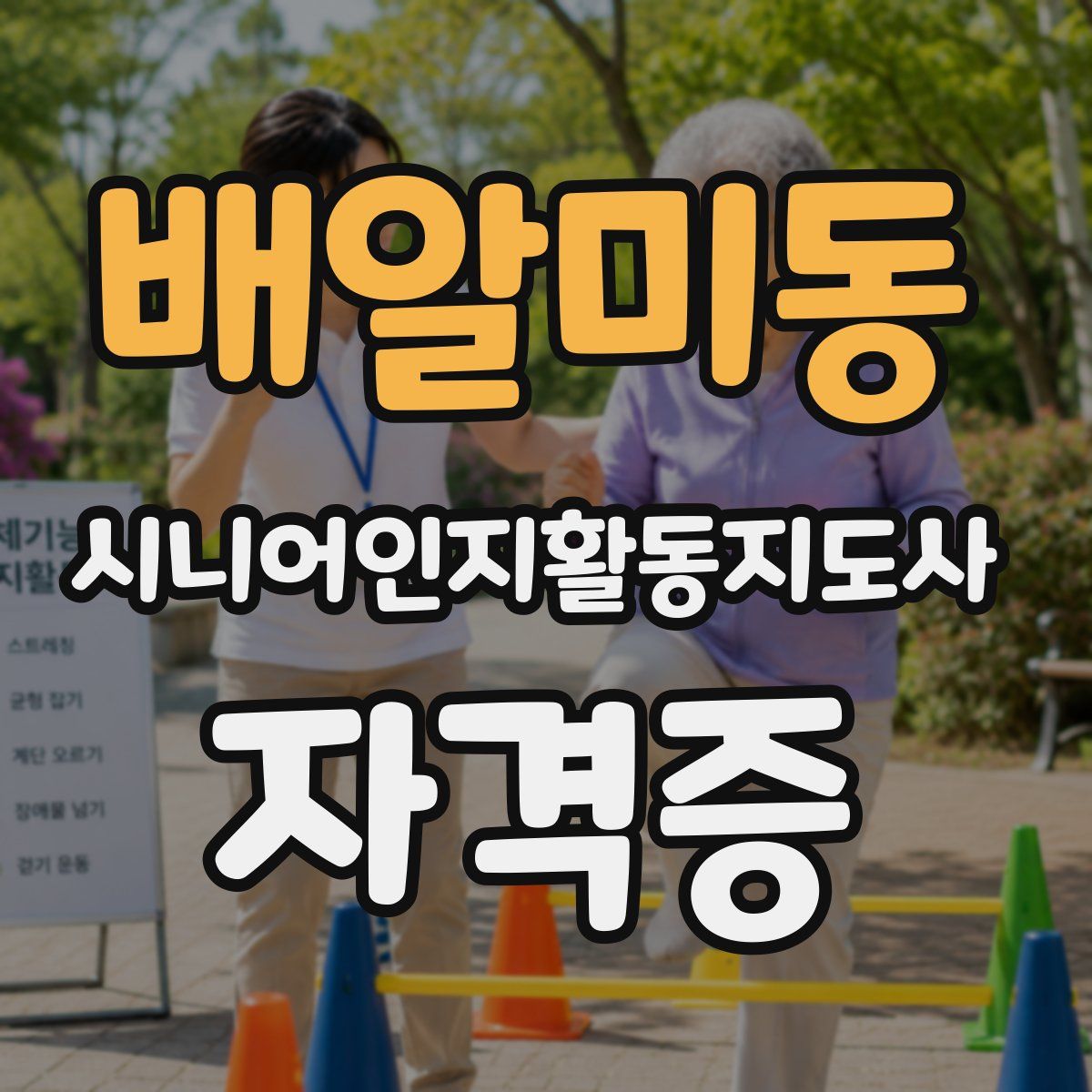 배알미동 시니어인지활동지도사 자격증