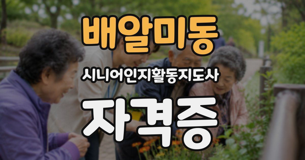 배알미동 시니어인지활동지도사 자격증