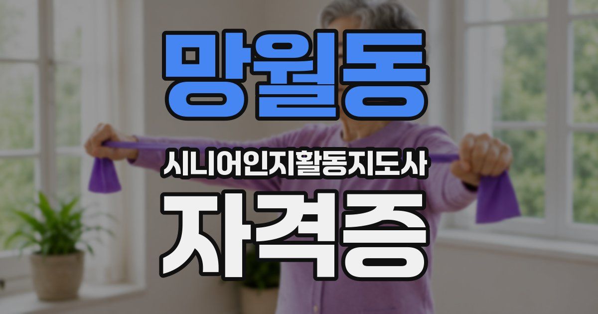 망월동 시니어인지활동지도사 자격증