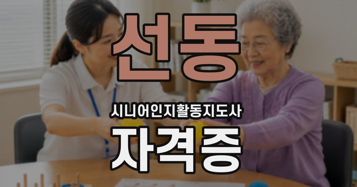 선동 시니어인지활동지도사 자격증