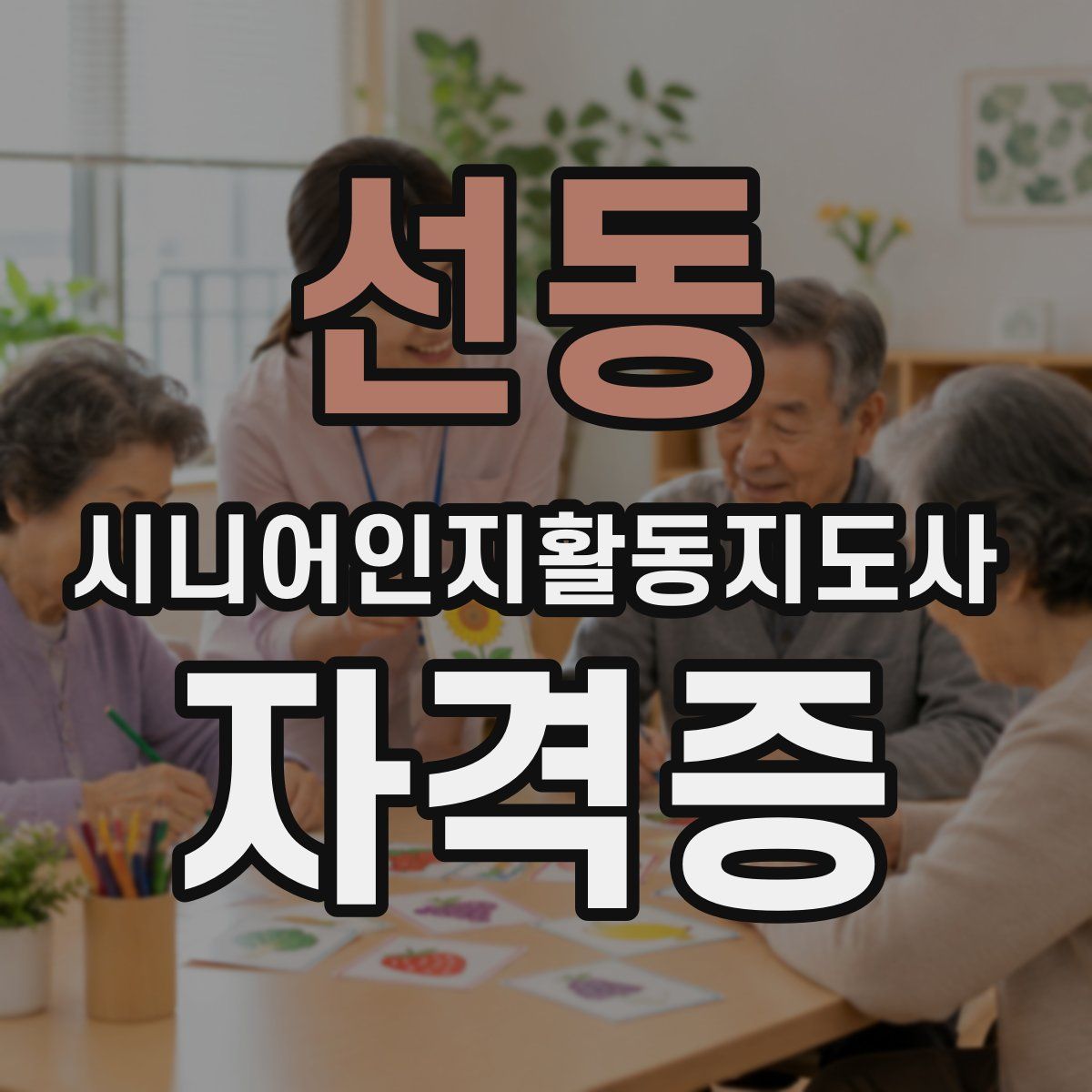 선동 시니어인지활동지도사 자격증