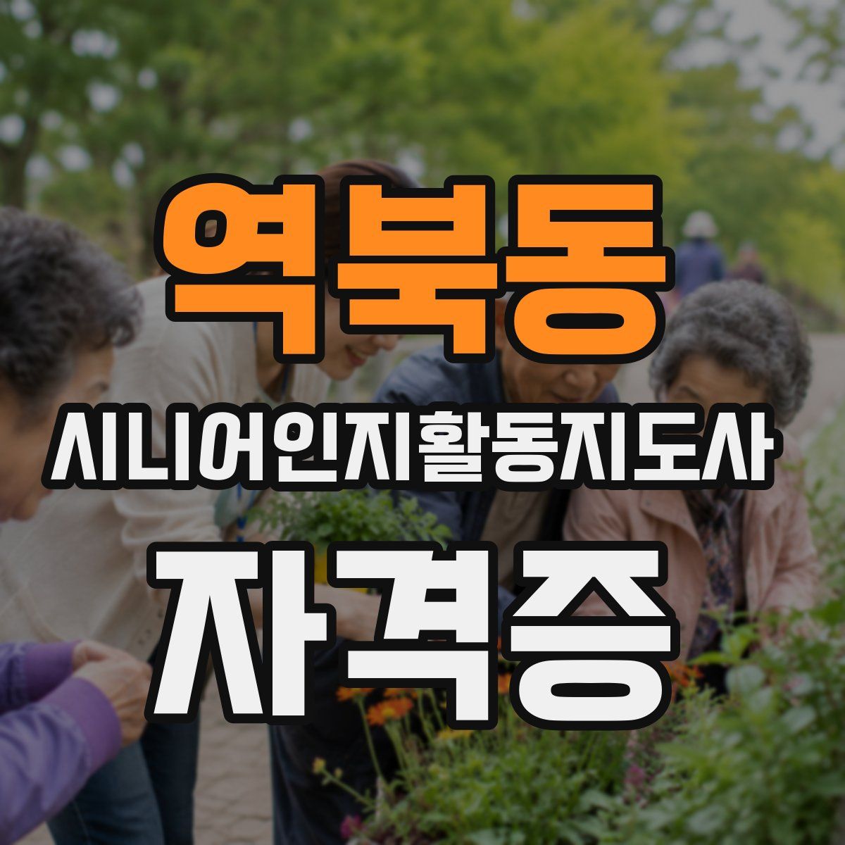 역북동 시니어인지활동지도사 자격증
