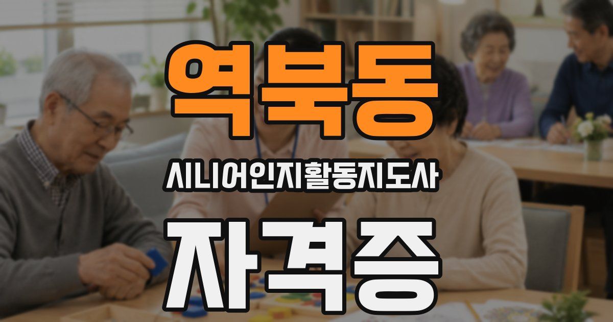 역북동 시니어인지활동지도사 자격증