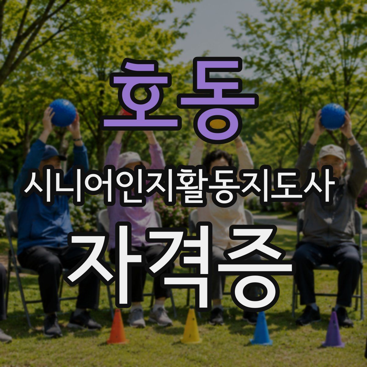 호동 시니어인지활동지도사 자격증