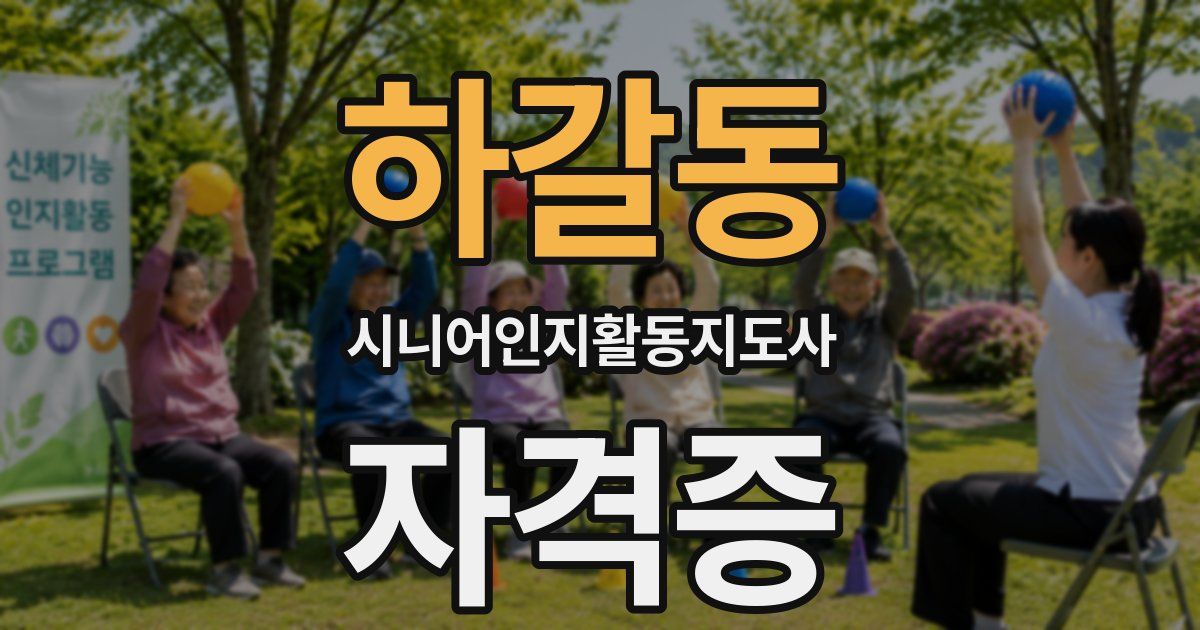 하갈동 시니어인지활동지도사 자격증