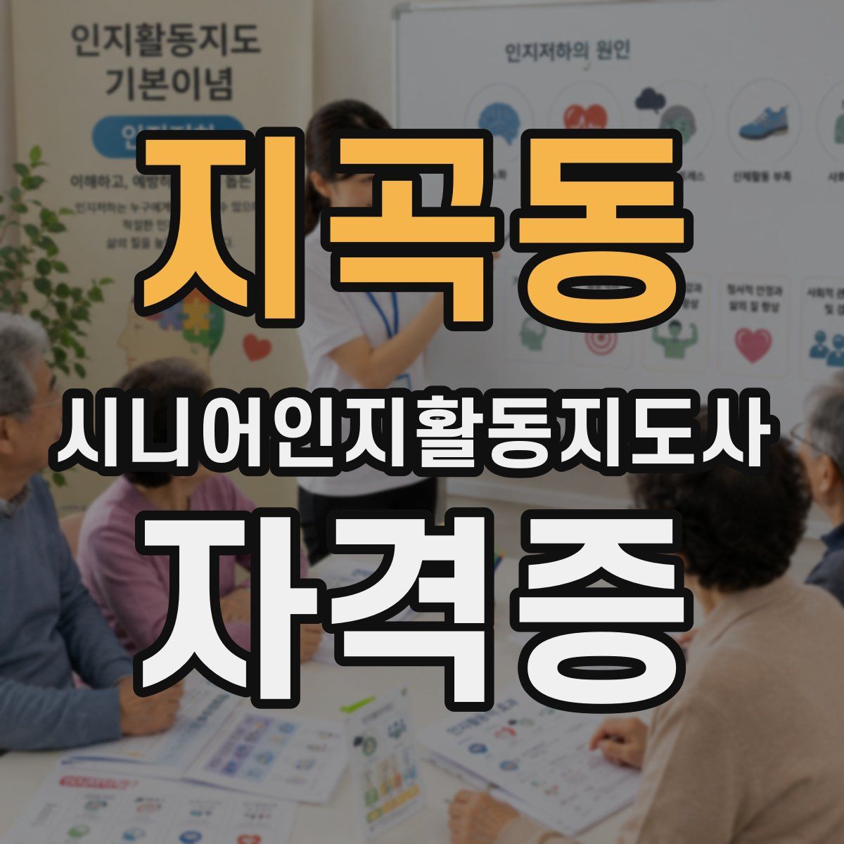 지곡동 시니어인지활동지도사 자격증