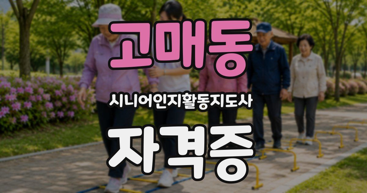 고매동 시니어인지활동지도사 자격증