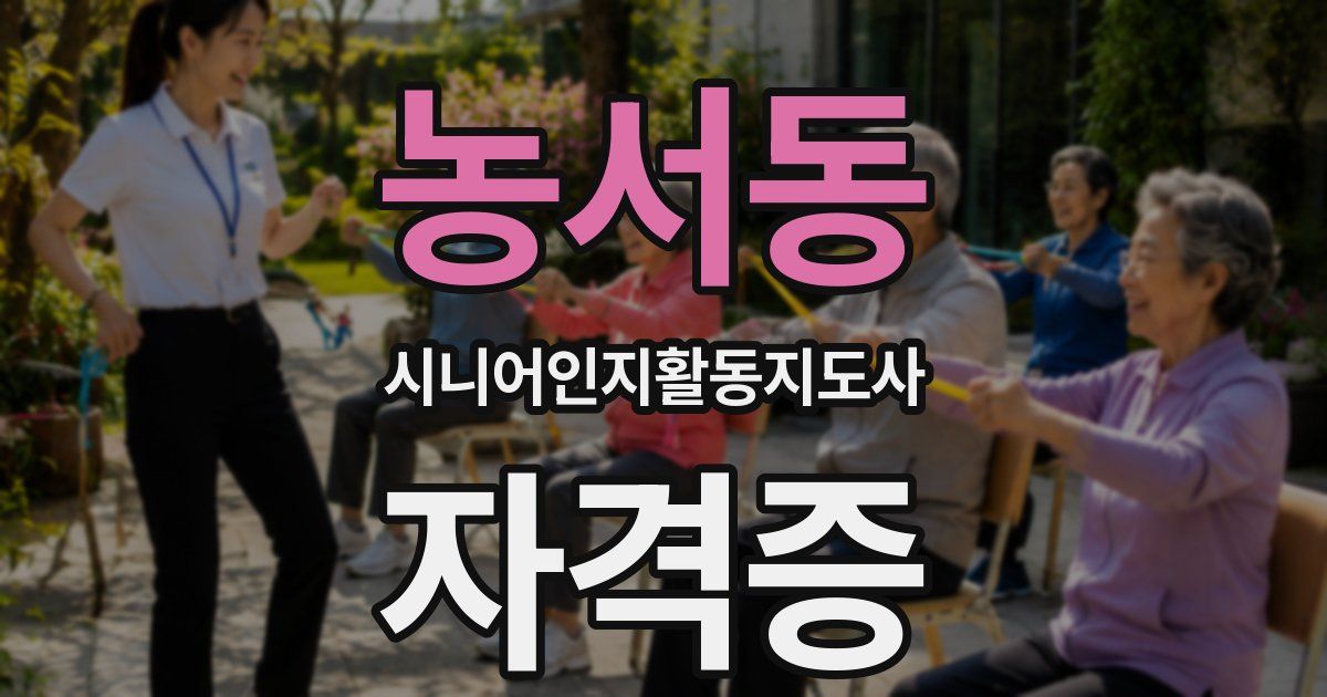 농서동 시니어인지활동지도사 자격증