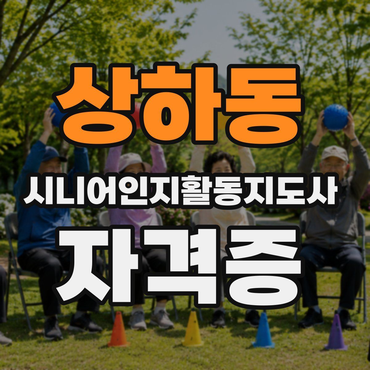 상하동 시니어인지활동지도사 자격증