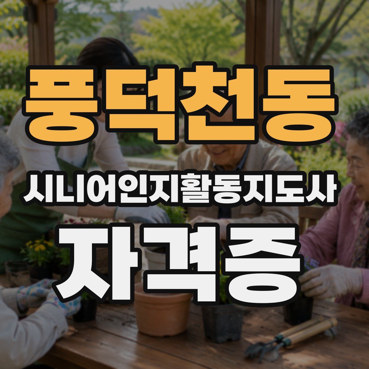 풍덕천동 시니어인지활동지도사 자격증