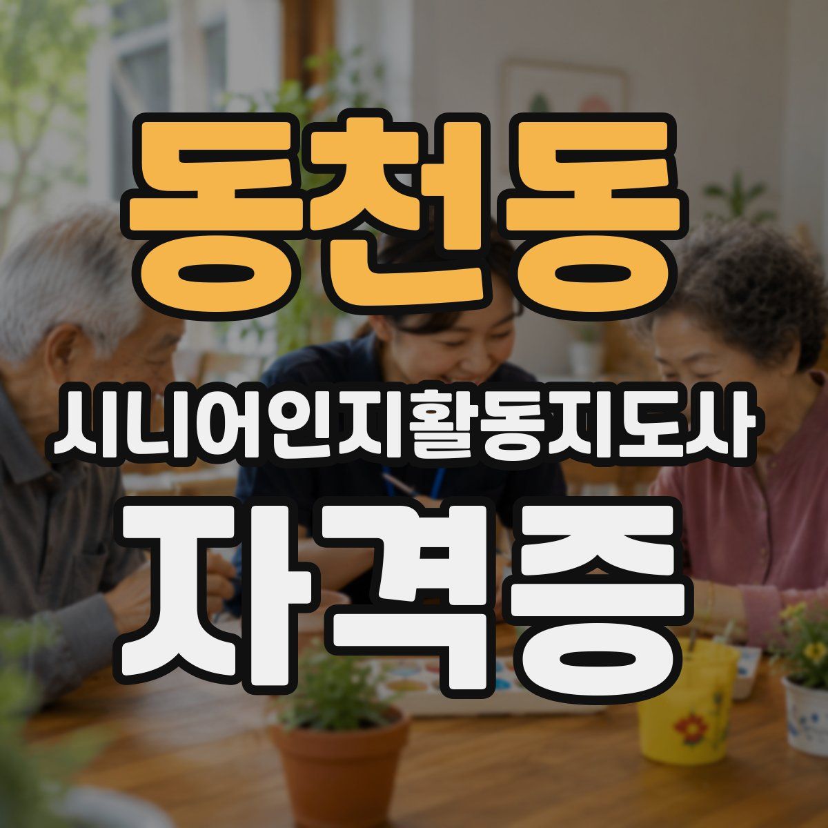 동천동 시니어인지활동지도사 자격증