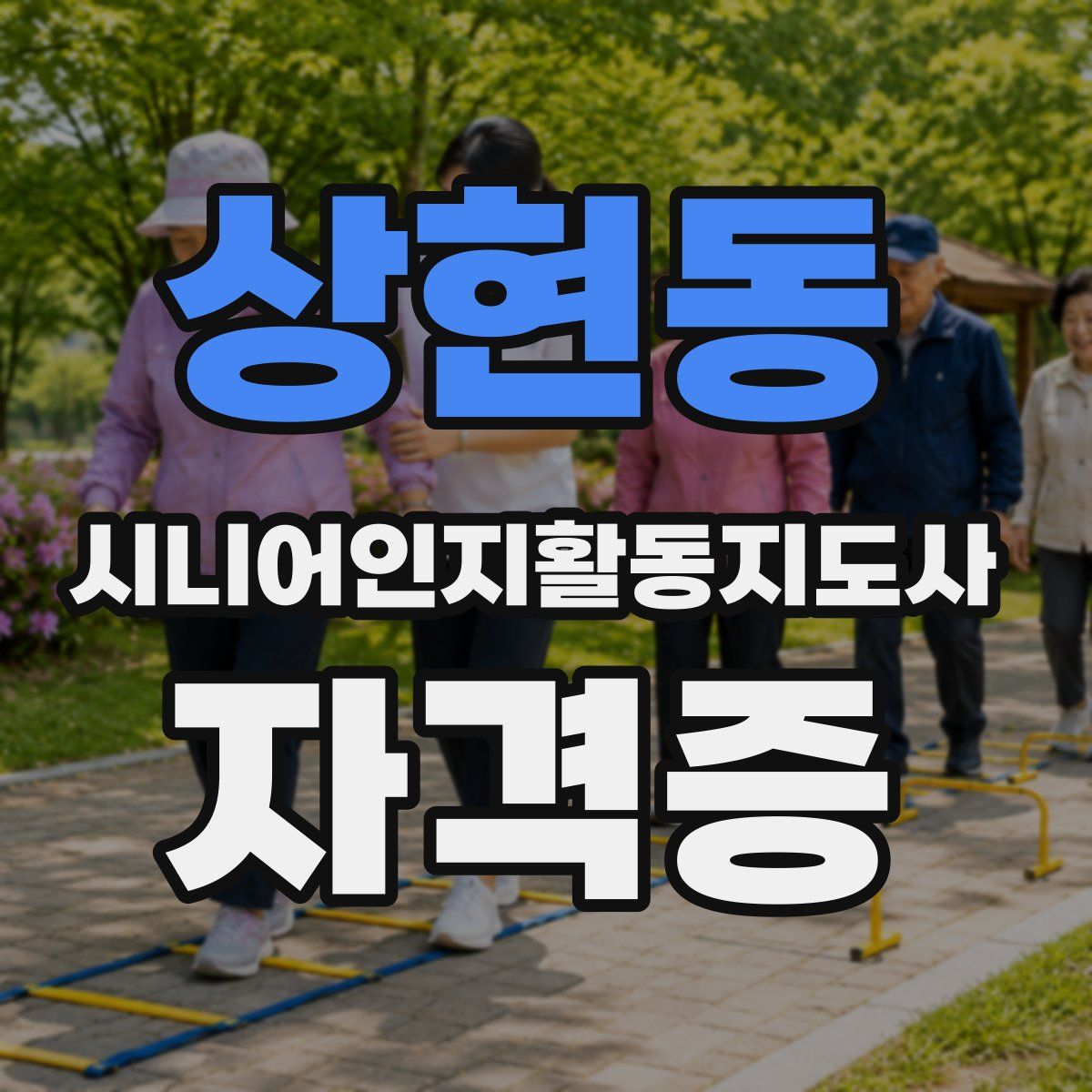 상현동 시니어인지활동지도사 자격증