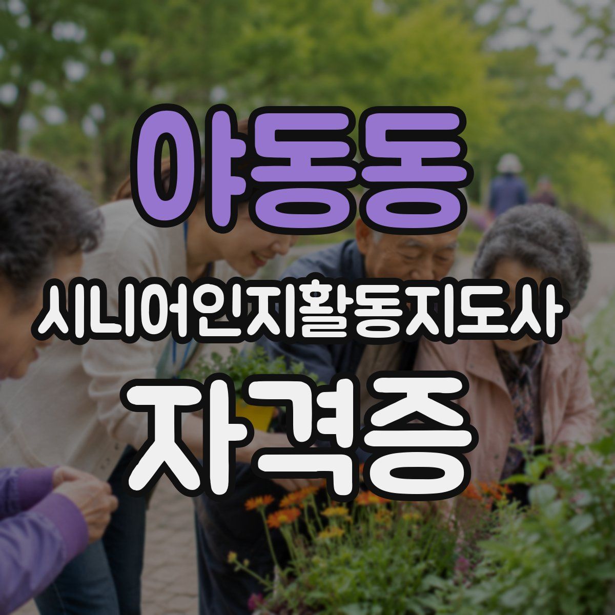 야동동 시니어인지활동지도사 자격증