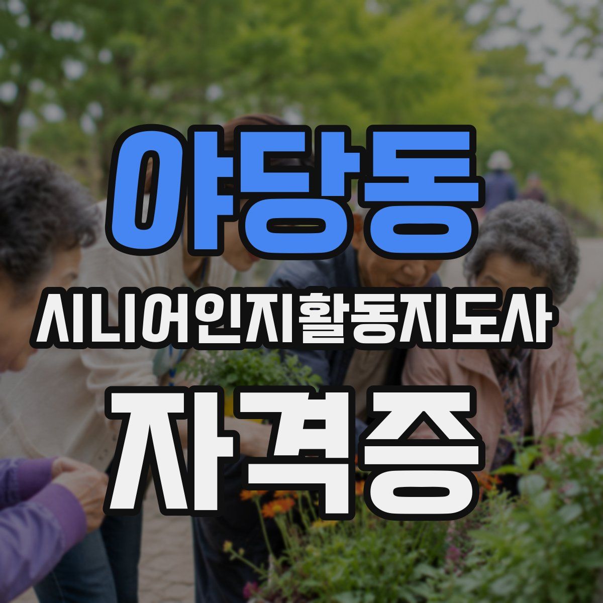 야당동 시니어인지활동지도사 자격증