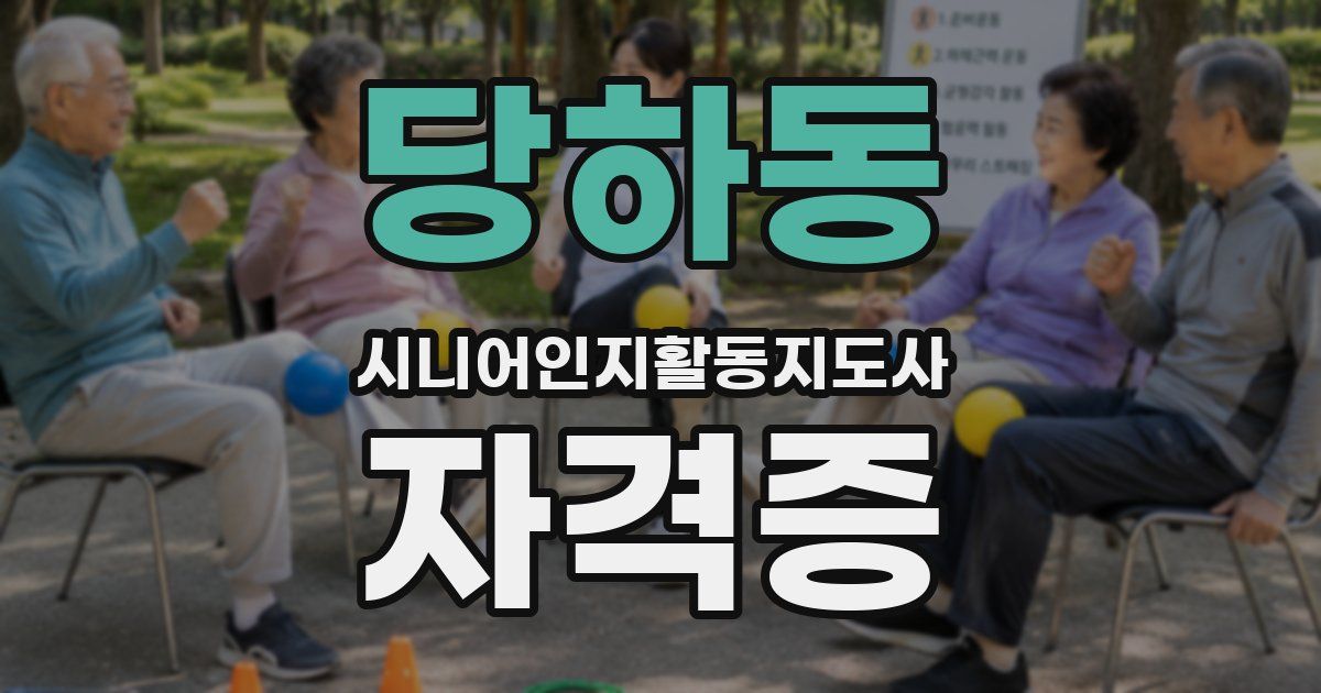 당하동 시니어인지활동지도사 자격증