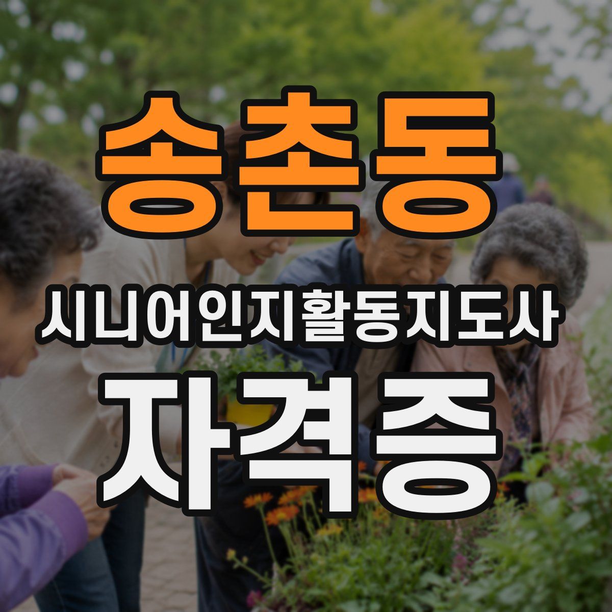 송촌동 시니어인지활동지도사 자격증