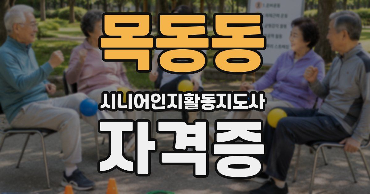 목동동 시니어인지활동지도사 자격증