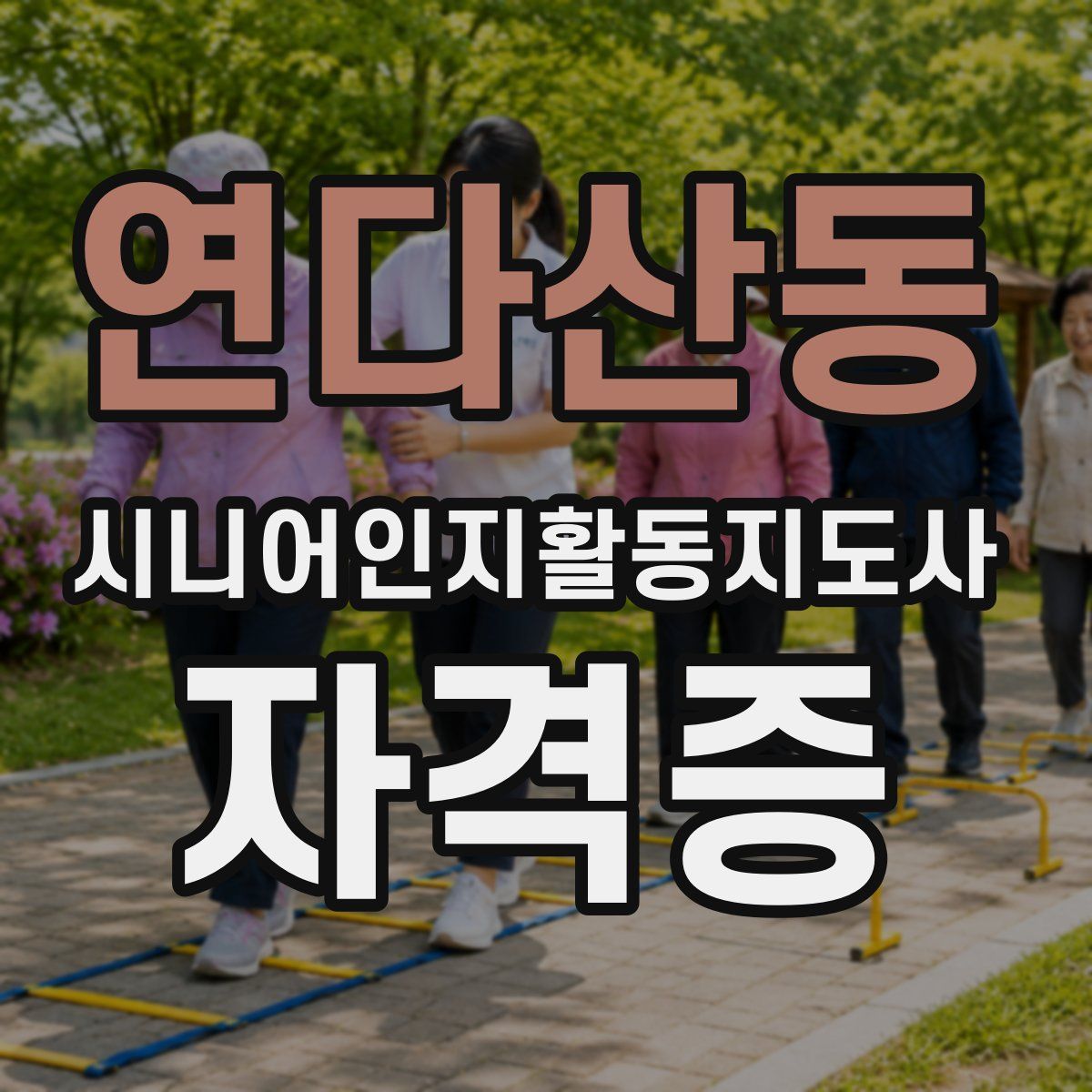연다산동 시니어인지활동지도사 자격증