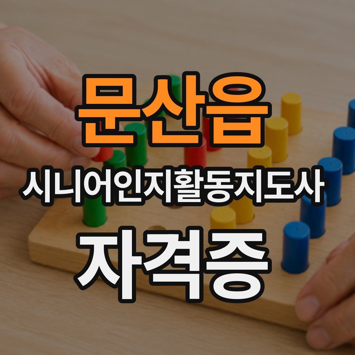 문산읍 시니어인지활동지도사 자격증 취득 목적을 정리해보면